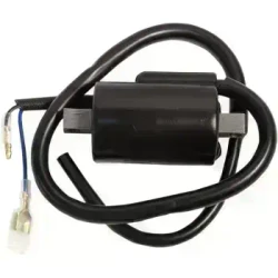 Ignition Coils & Wires