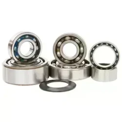Differential Bearing & Seal Kit
